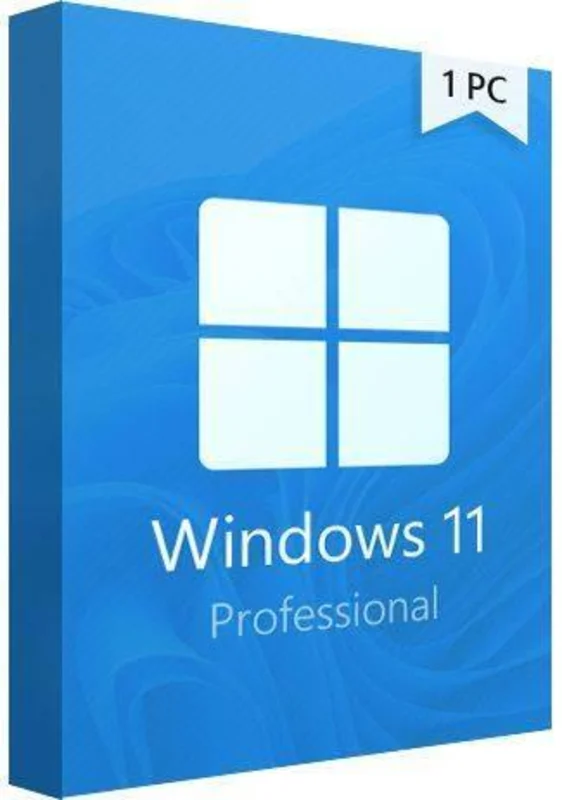 Microsoft Windows 11 Professional